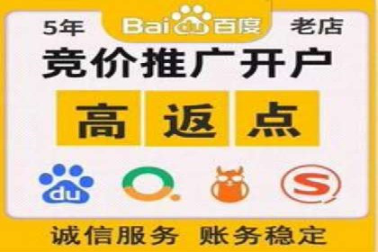 百度推广优化策略：成功案例解析